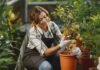 Gardening Tips To Grow Your Garden