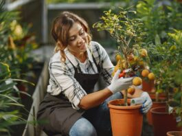 Gardening Tips To Grow Your Garden