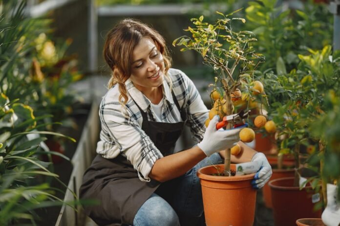 Gardening Tips To Grow Your Garden