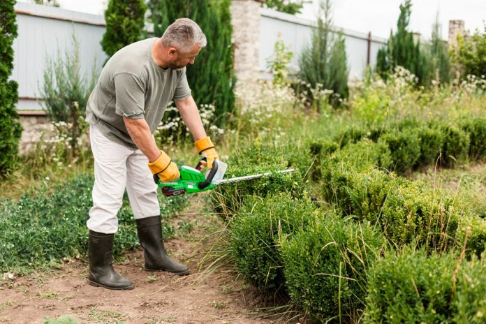 Sod Supplier for Sod Installation